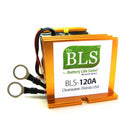 Battery Life Saver Electric Vehicle/Battery Bank Models