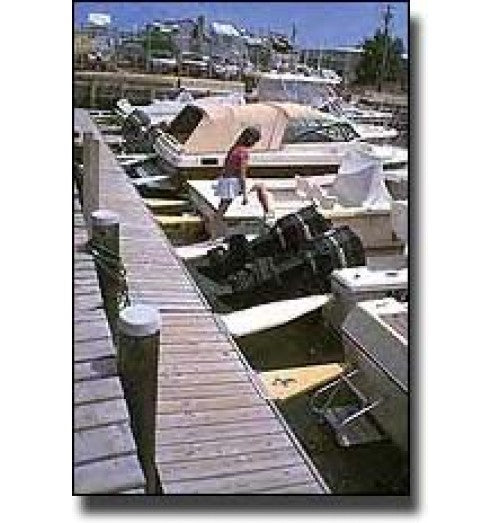 EZ-Dock Frog Hooks - Boat Mooring and Boarding System
