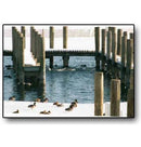 KASCO De-Icer MODELS