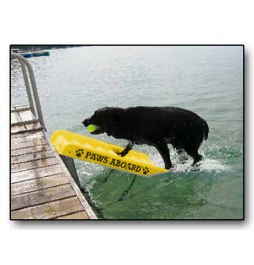 Pawz dog boarding ladder best sale