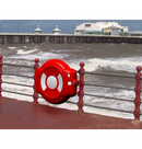 Guardian Life Ring Cabinets