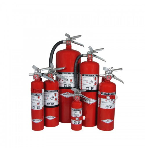 Amerex Regular Dry Chemical Fire Extinguisher